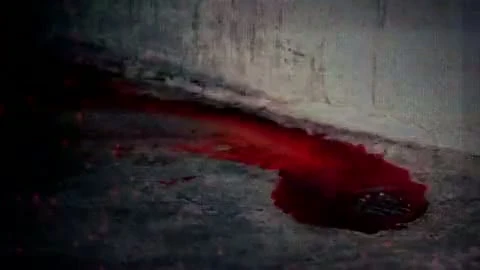 Resident Evil: Operation Raccoon City "US Spec Ops Campaign DLC"