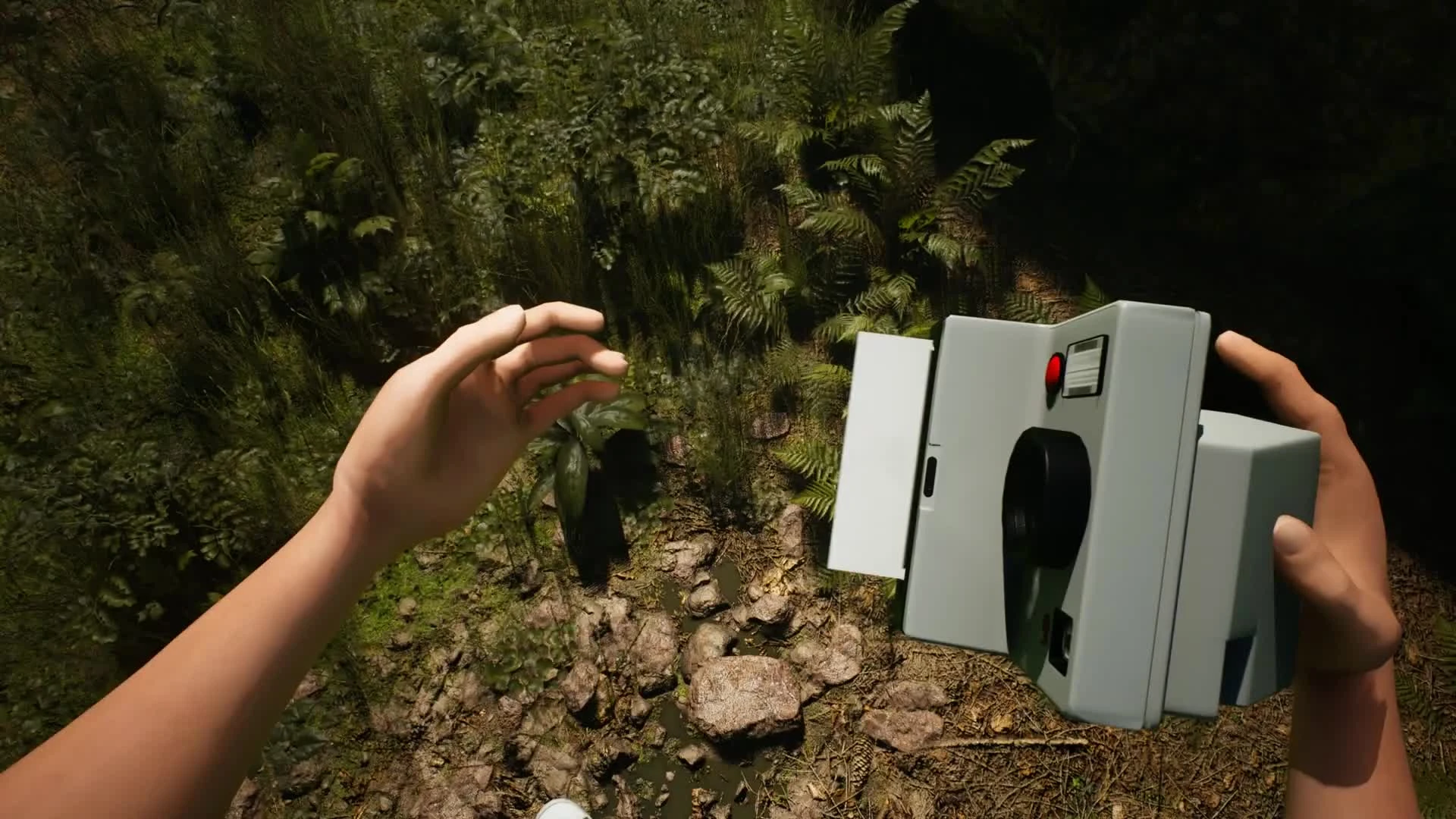 Симулятор "грибника" Morels: The Hunt вышел в Steam