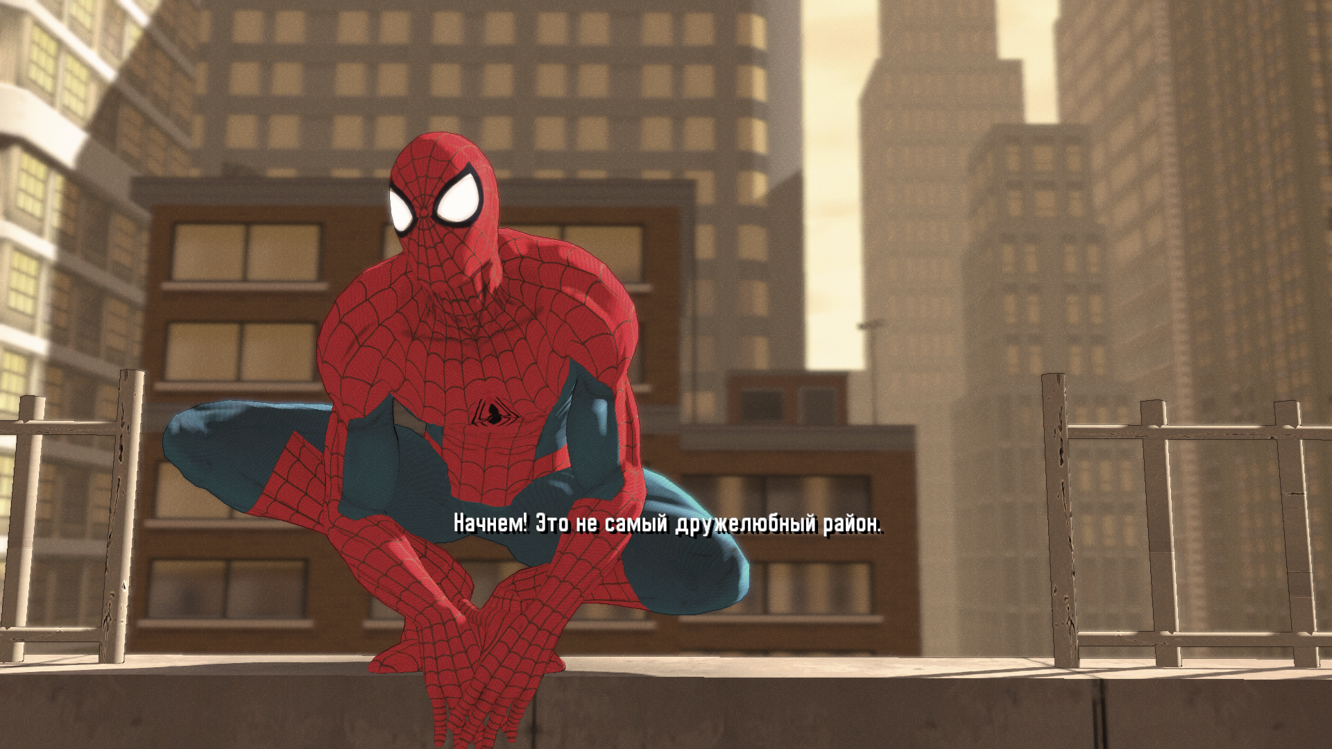 Spider-Man: Shattered Dimensions "Into the Spider-Verse Peter Skin"