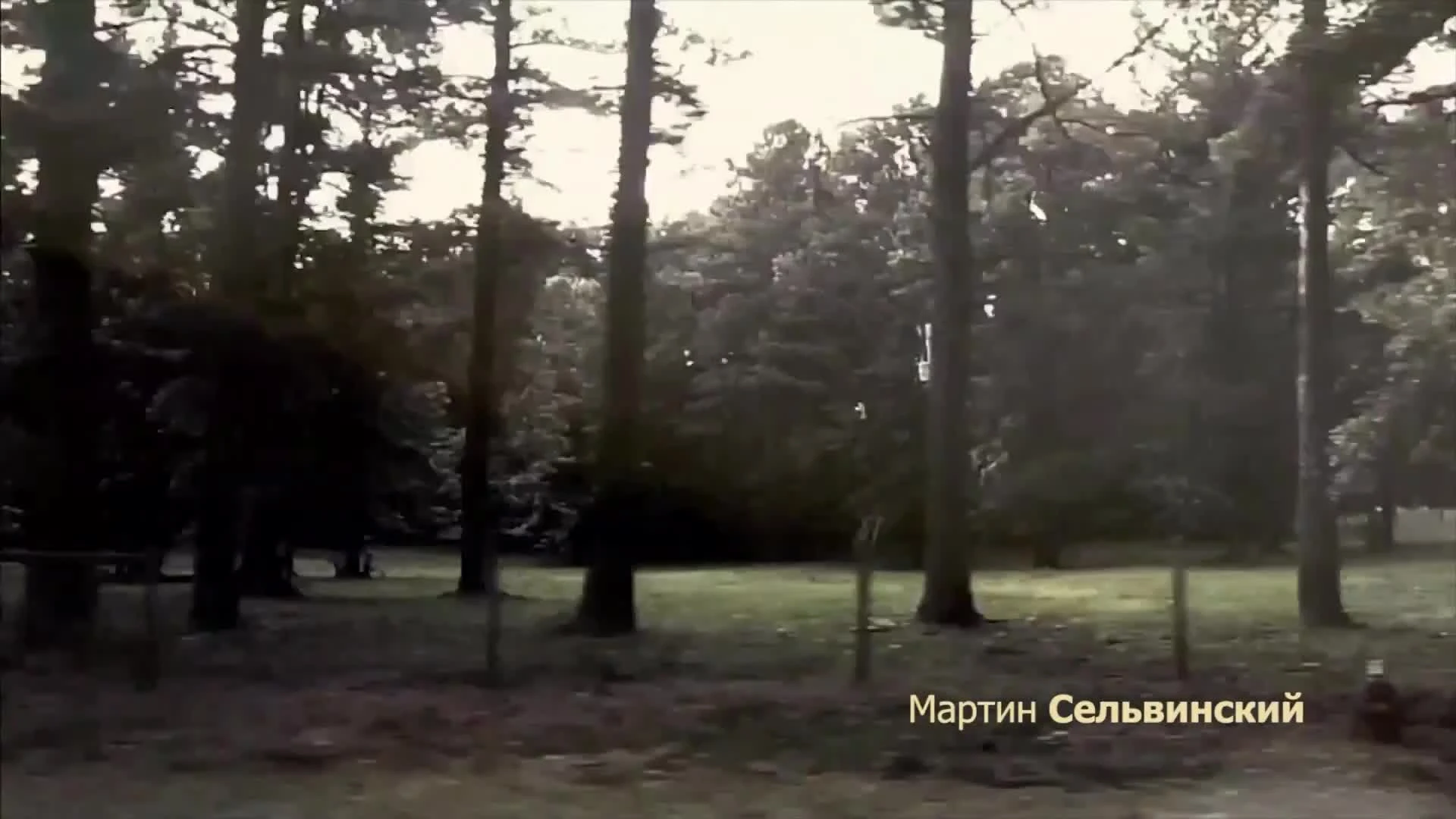 Walking Dead "Почему Дэрил Диксон никогда не моется?"