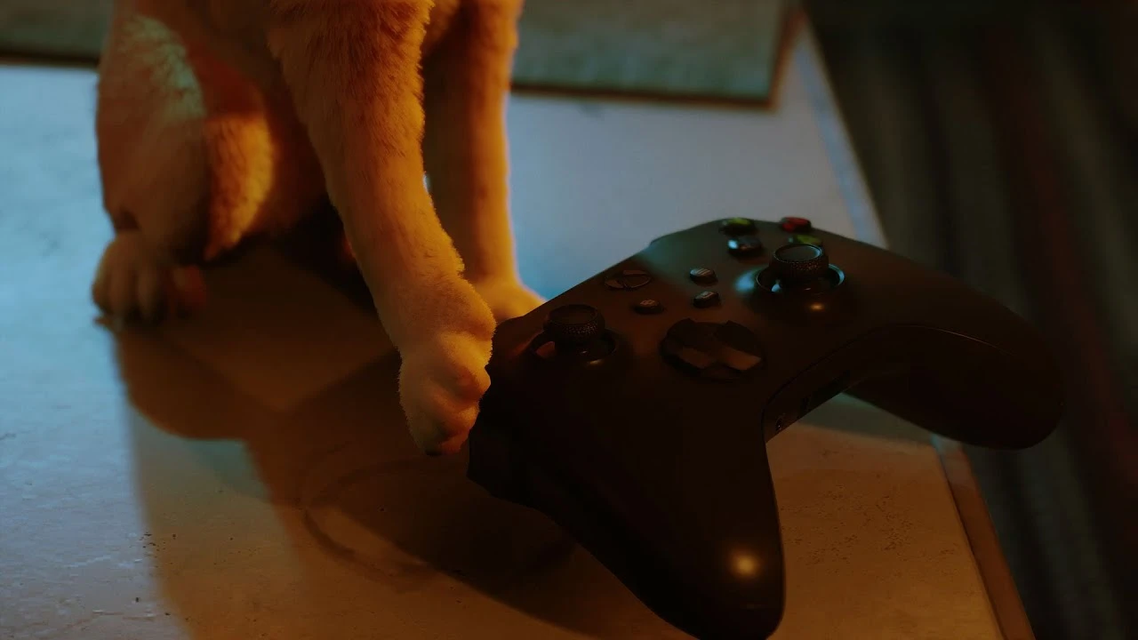 Рыжий котейка из Stray отправится покорять консоли Xbox 10 августа