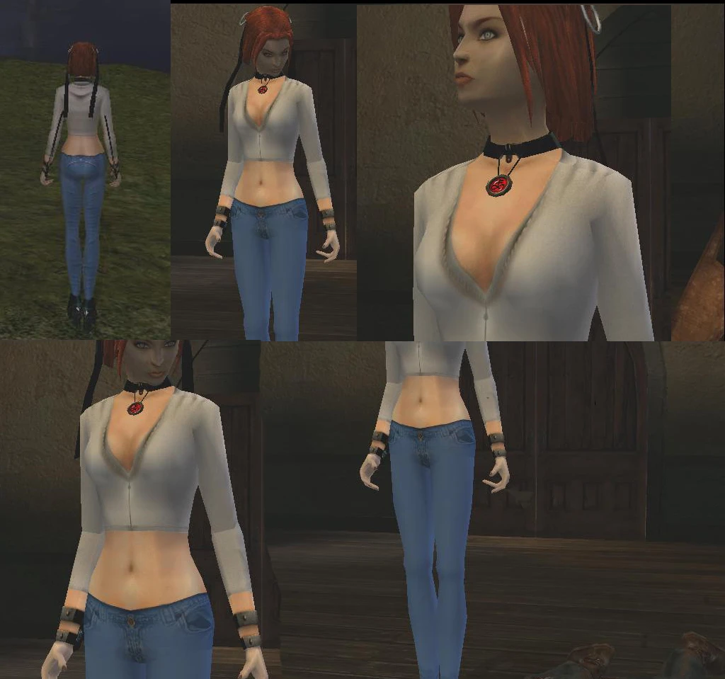 BloodRayne "Skinning tools"/"MoreSkins"