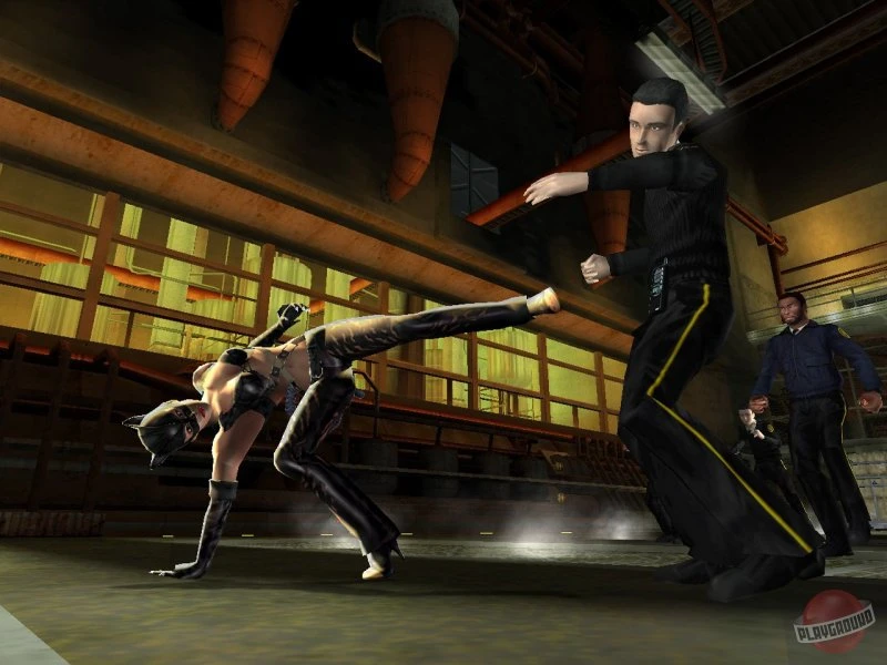 Catwoman. Рай фетишиста