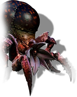 The Witcher 2: Assassins of Kings - Бестиарий - Инсектойды