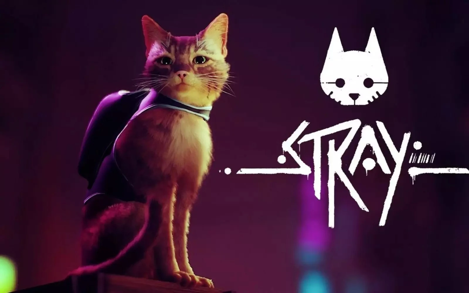 История одного кота. Обзор Stray