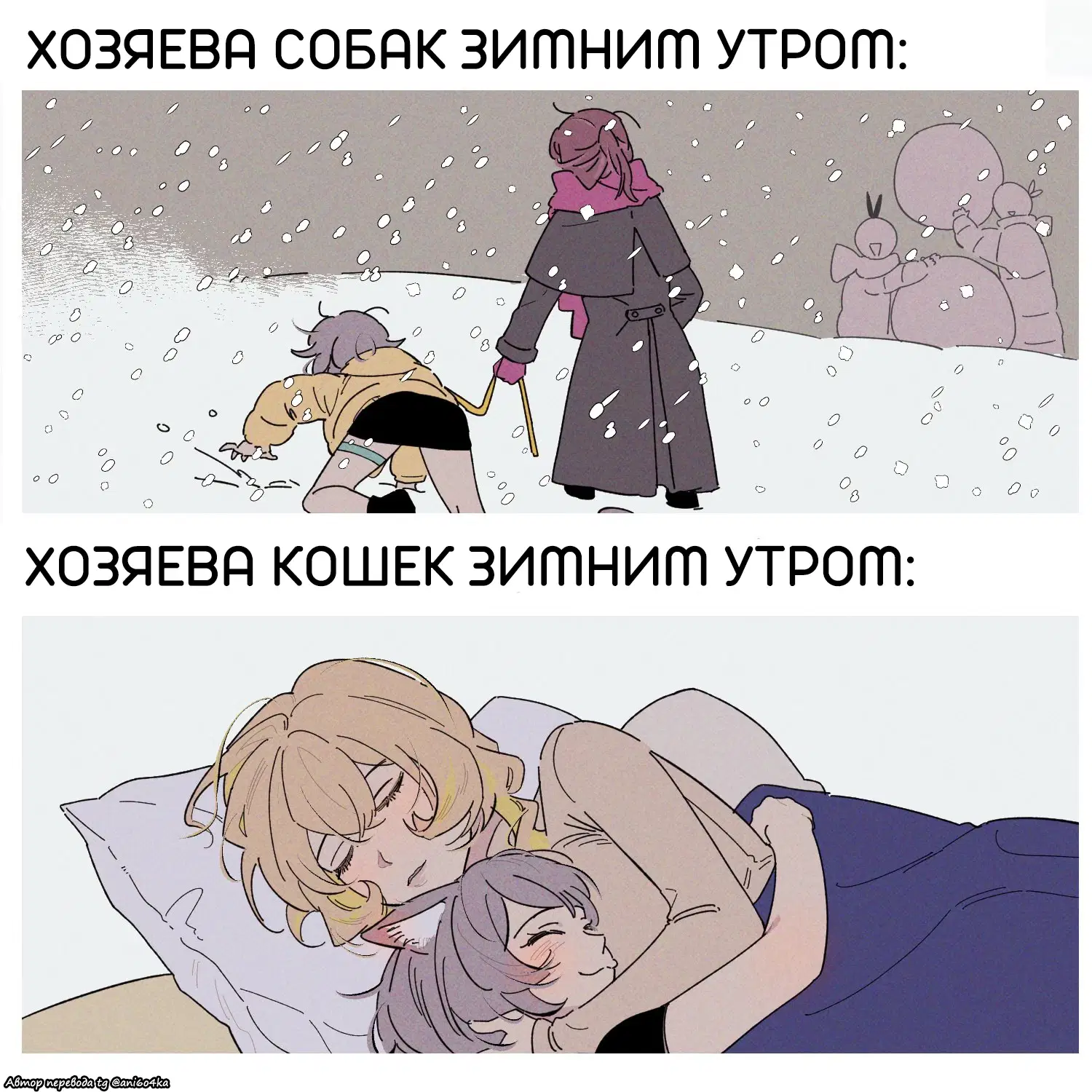 Хозяева собак и хозяева кошек зимним утром