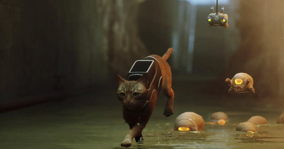 Stray получила возрастной рейтинг для Xbox