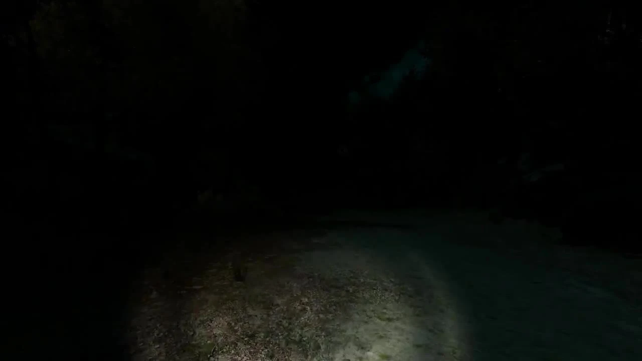 Passing Pineview Forest "Трейлер"