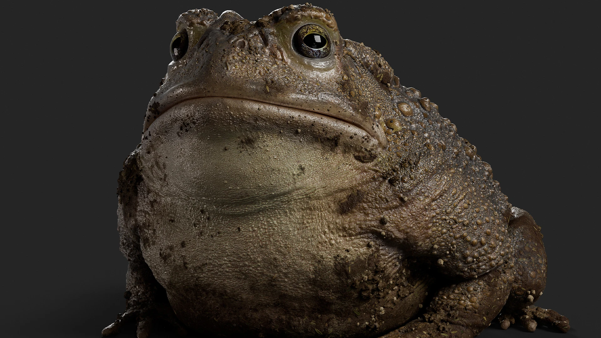 Разработчики новой Fable все еще находятся в поиске ключевых сотрудников в команду