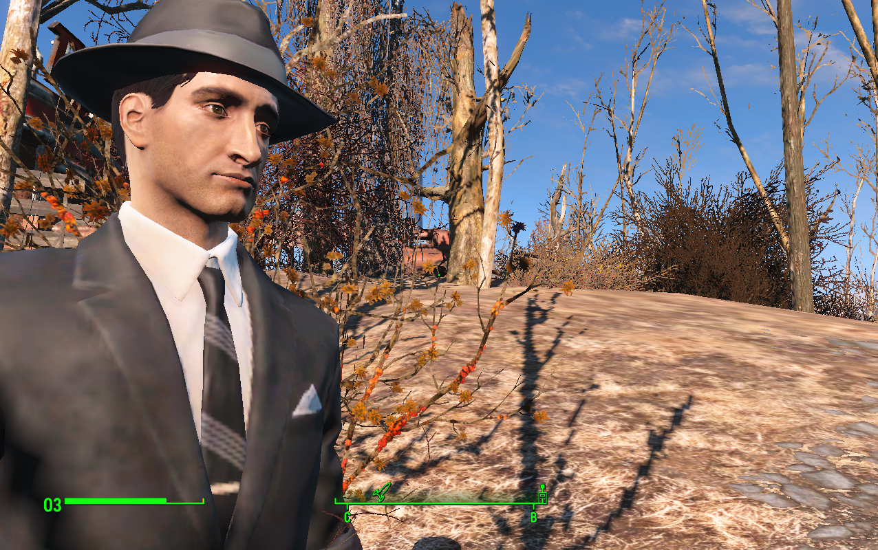 Fallout 4: Сохранение/SaveGame (Эдриен Броуди)