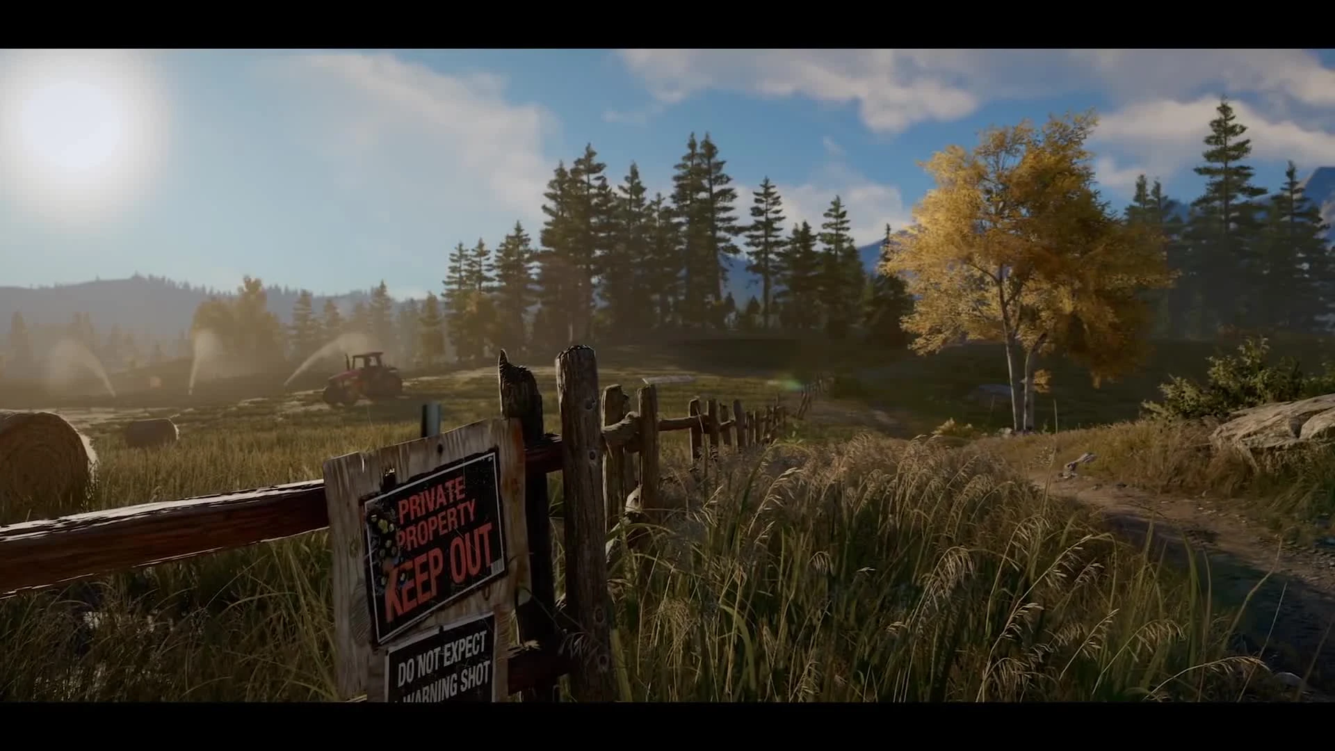 Far Cry 5 [Литерал]