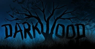 Разработчики Darkwood о создании игры и реакции аудитории
