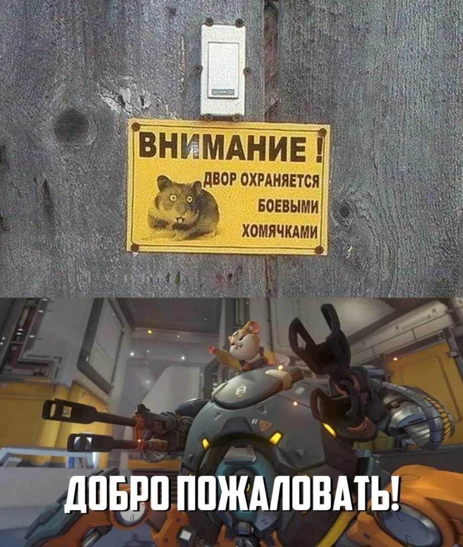 Боевой хомячок