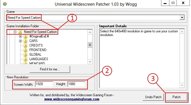 Need for Speed Carbon "Universal WideScreen Pacher"
