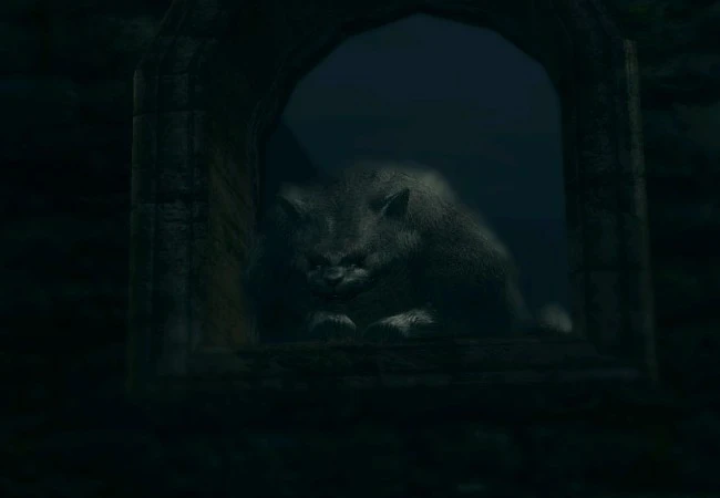 Dark Souls - Персонажи