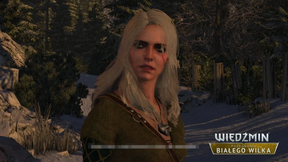 Новые скриншоты амбициозной модификации "Прощания с белым волком" для The Witcher 2