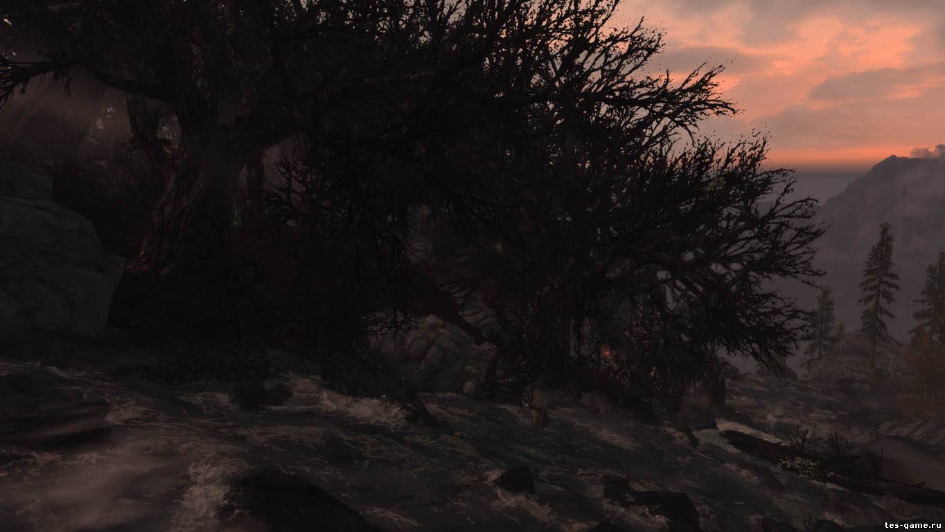 TES 5 Skyrim "Мертвый лес"