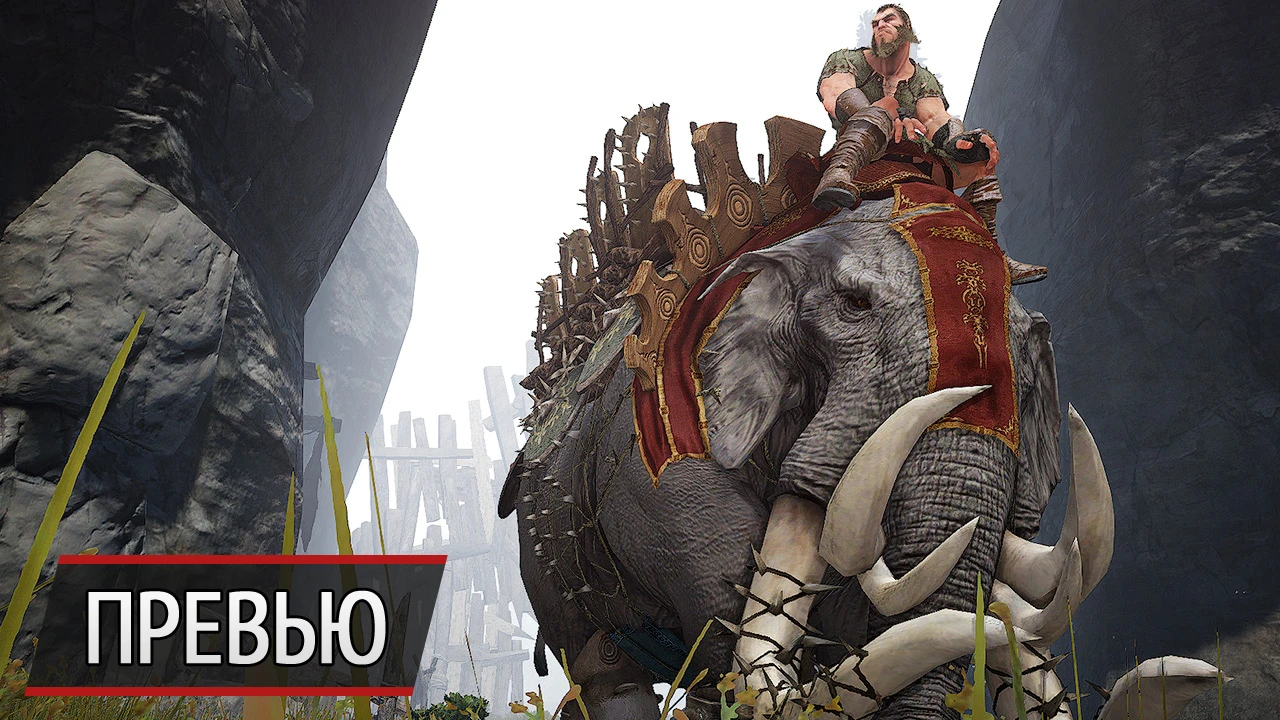 Показатель прогресса в ММО: превью Black Desert