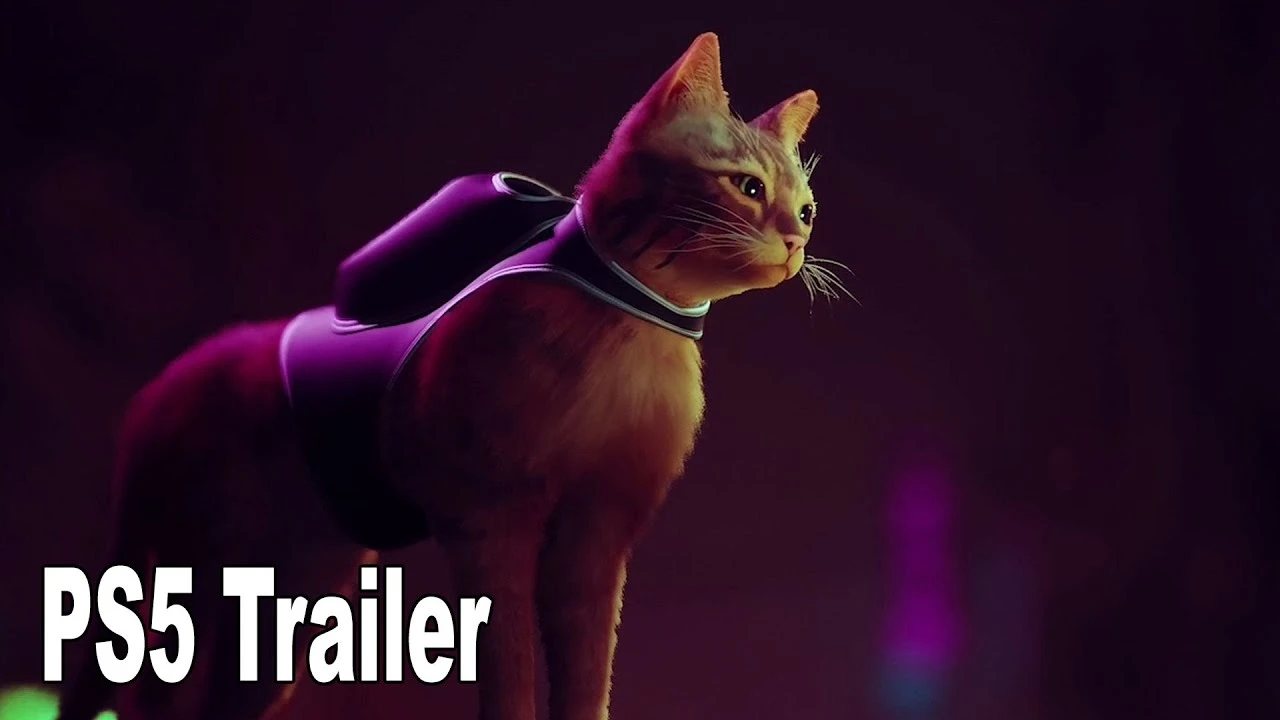 Анонсирована киберпанк адвенчура про бродячего кота Stray для PS5