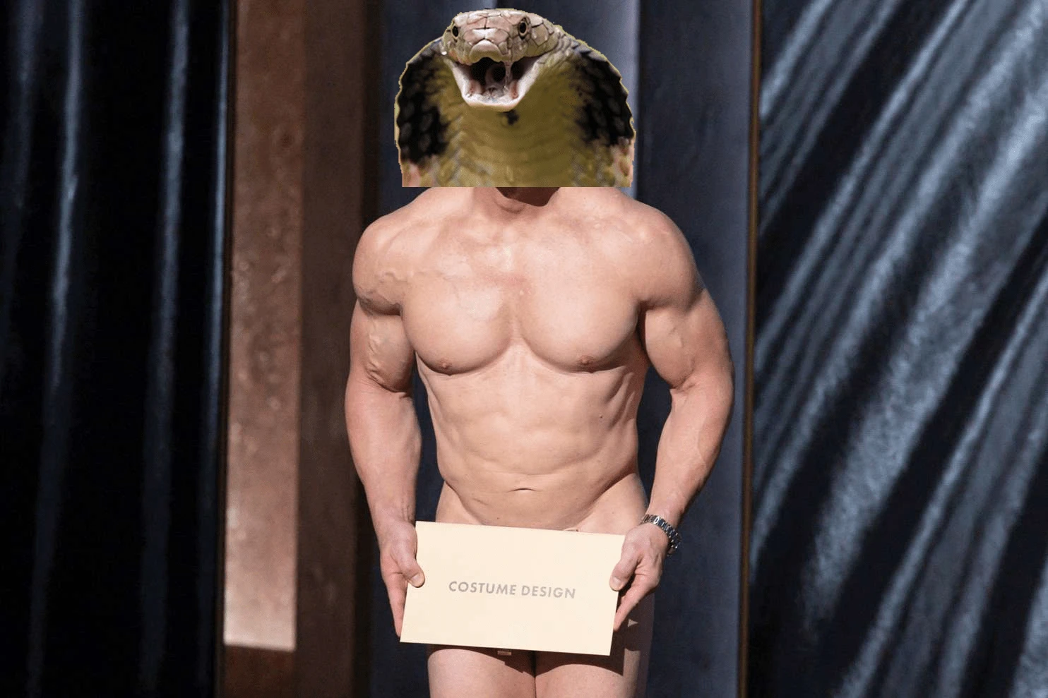 Нейкид Снейк (Naked Snake)