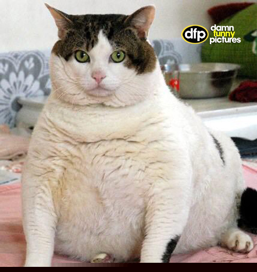 [Без названия]