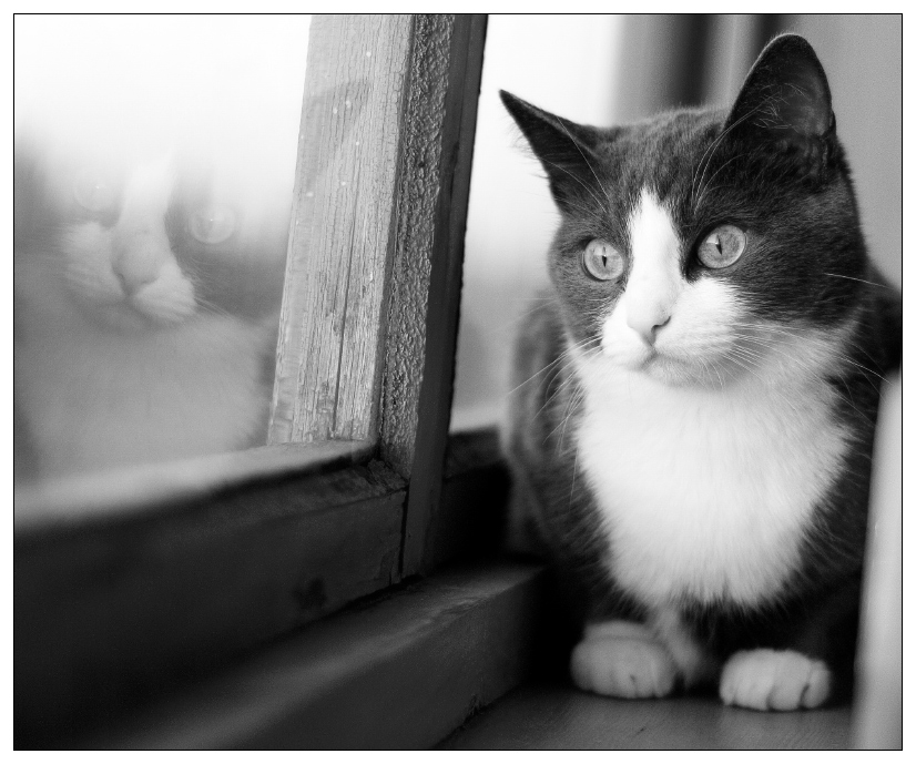 [Без названия]