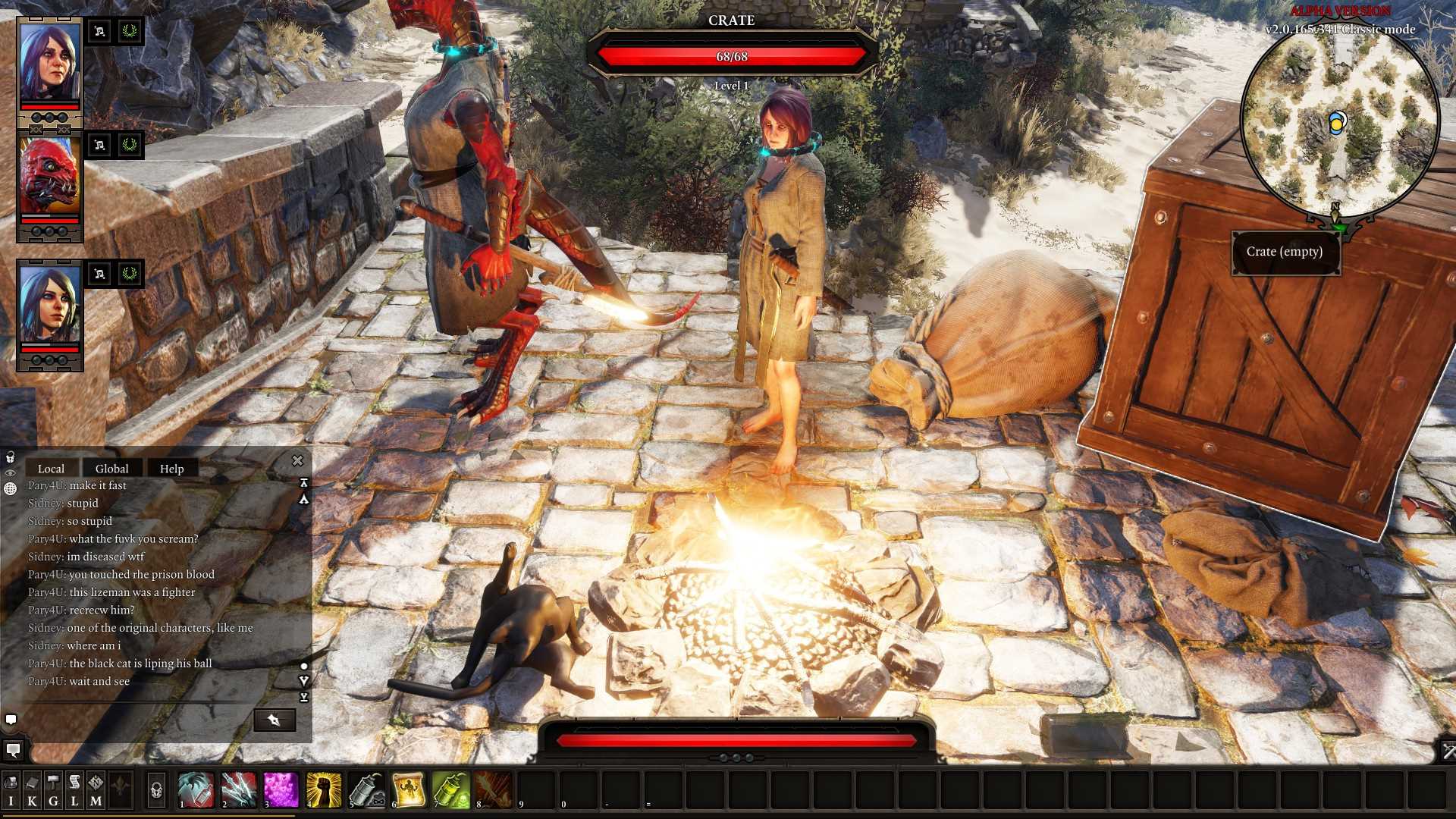 Гулкие топи divinity original sin 2. Divinity fighter. Divinity 2 черный кот. Монастырский лес divinity original. Divinity 2 черный кот.