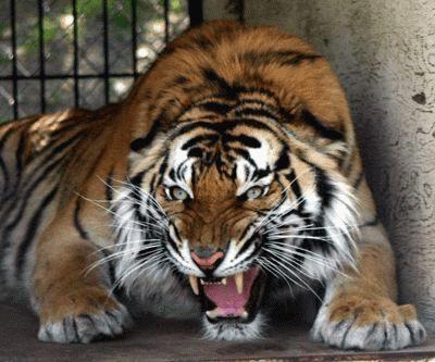 [Без названия]