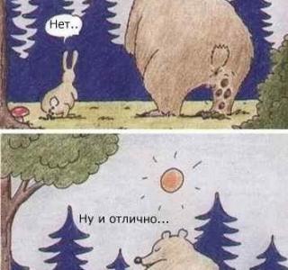 Картинки медведь и заяц приколы