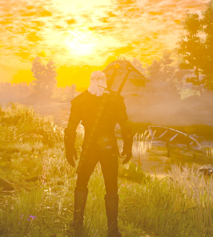 Игра The Witcher 3: Wild Hunt