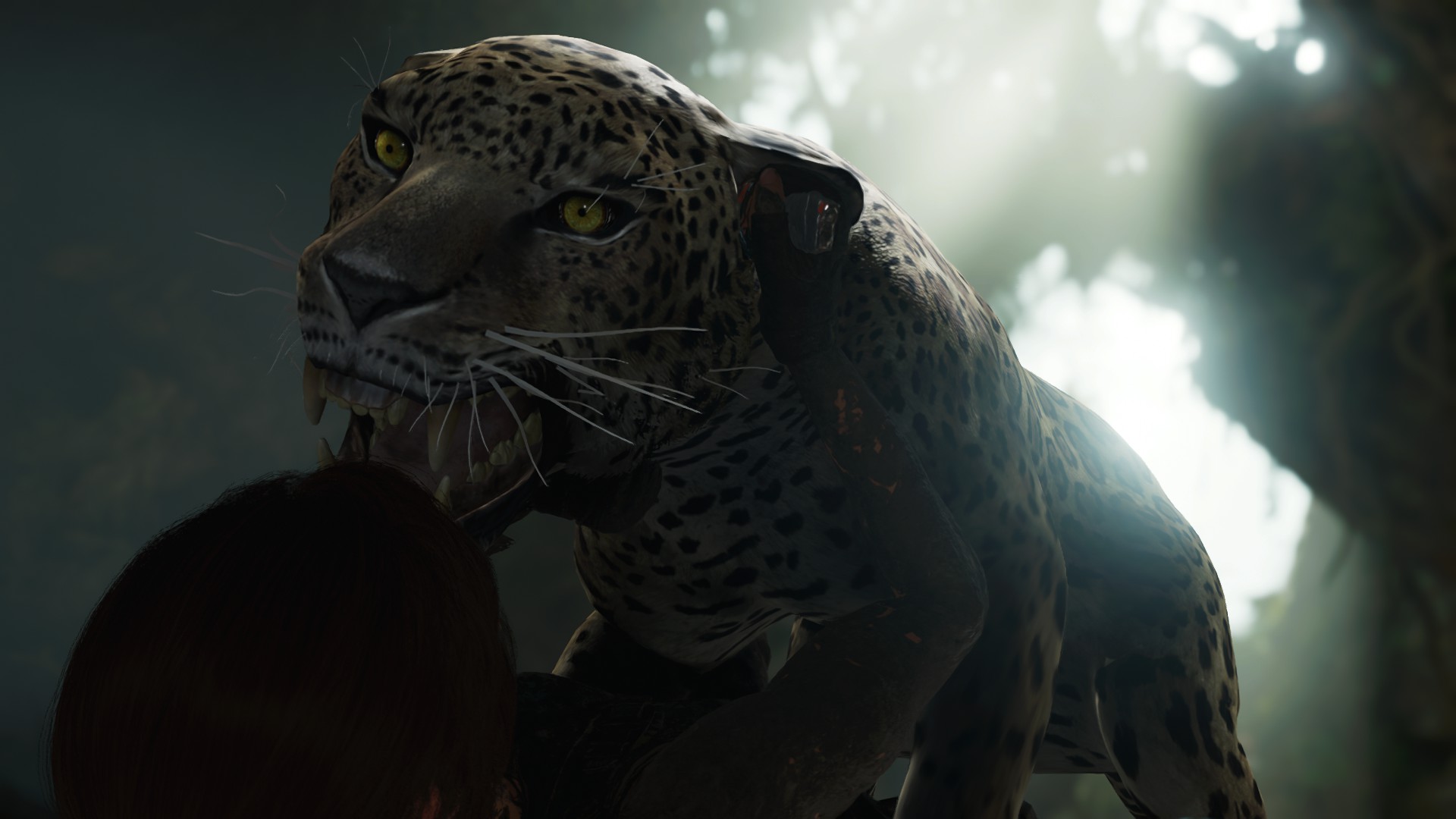 Галерея игры Shadow of the Tomb Raider