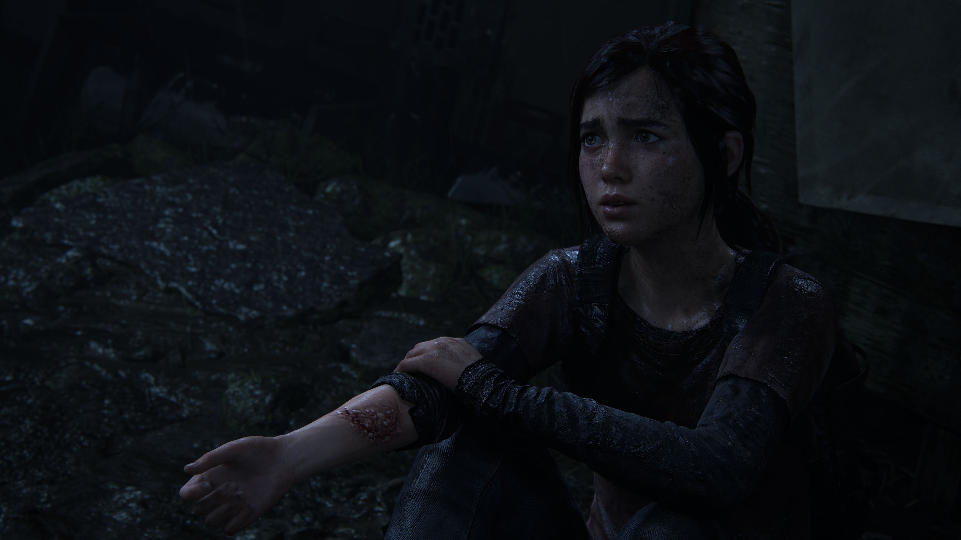 Галерея игры The Last of Us: Part 1