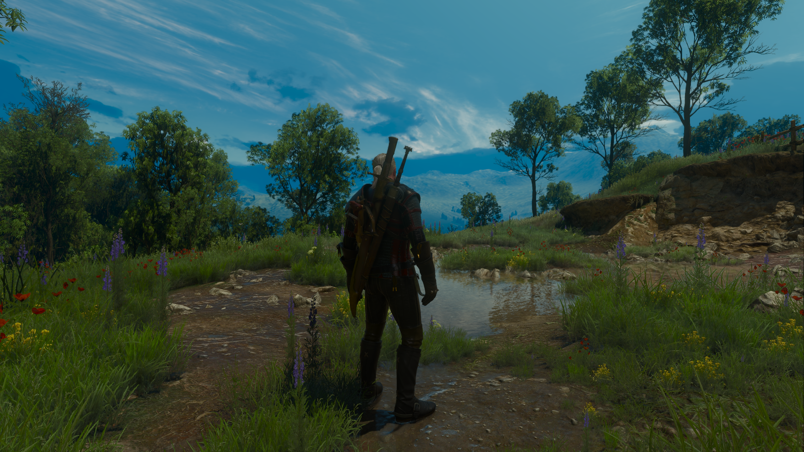 Галерея игры The Witcher 3: Wild Hunt