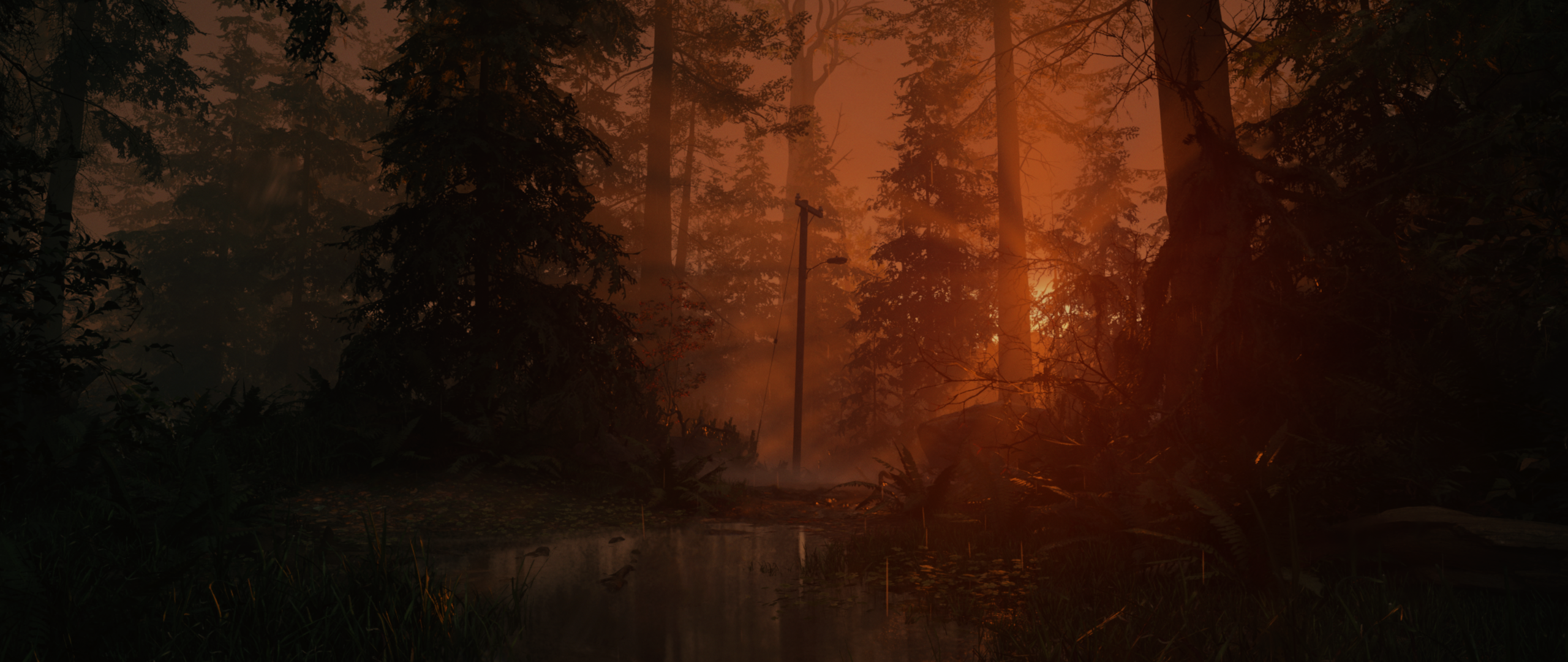 Галерея игры Alan Wake 2