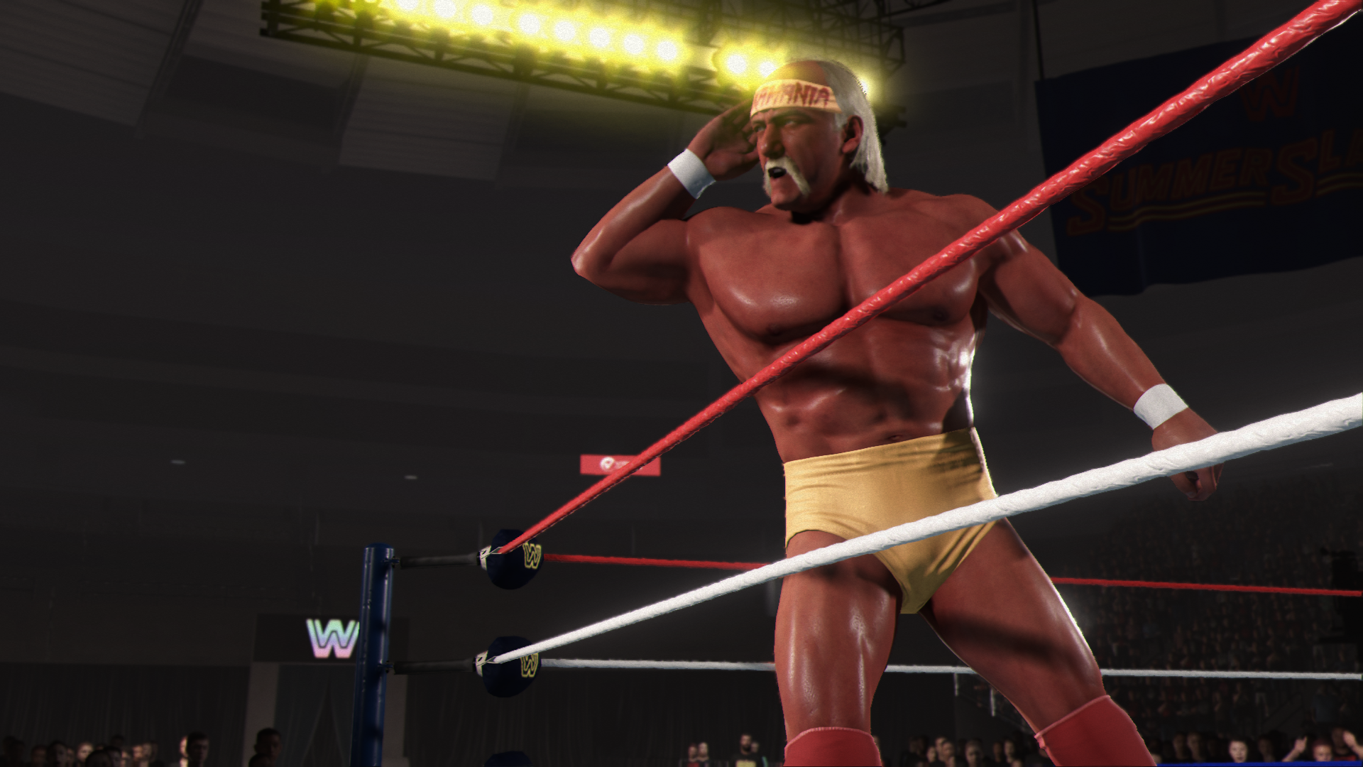 Галерея игры WWE 2K24