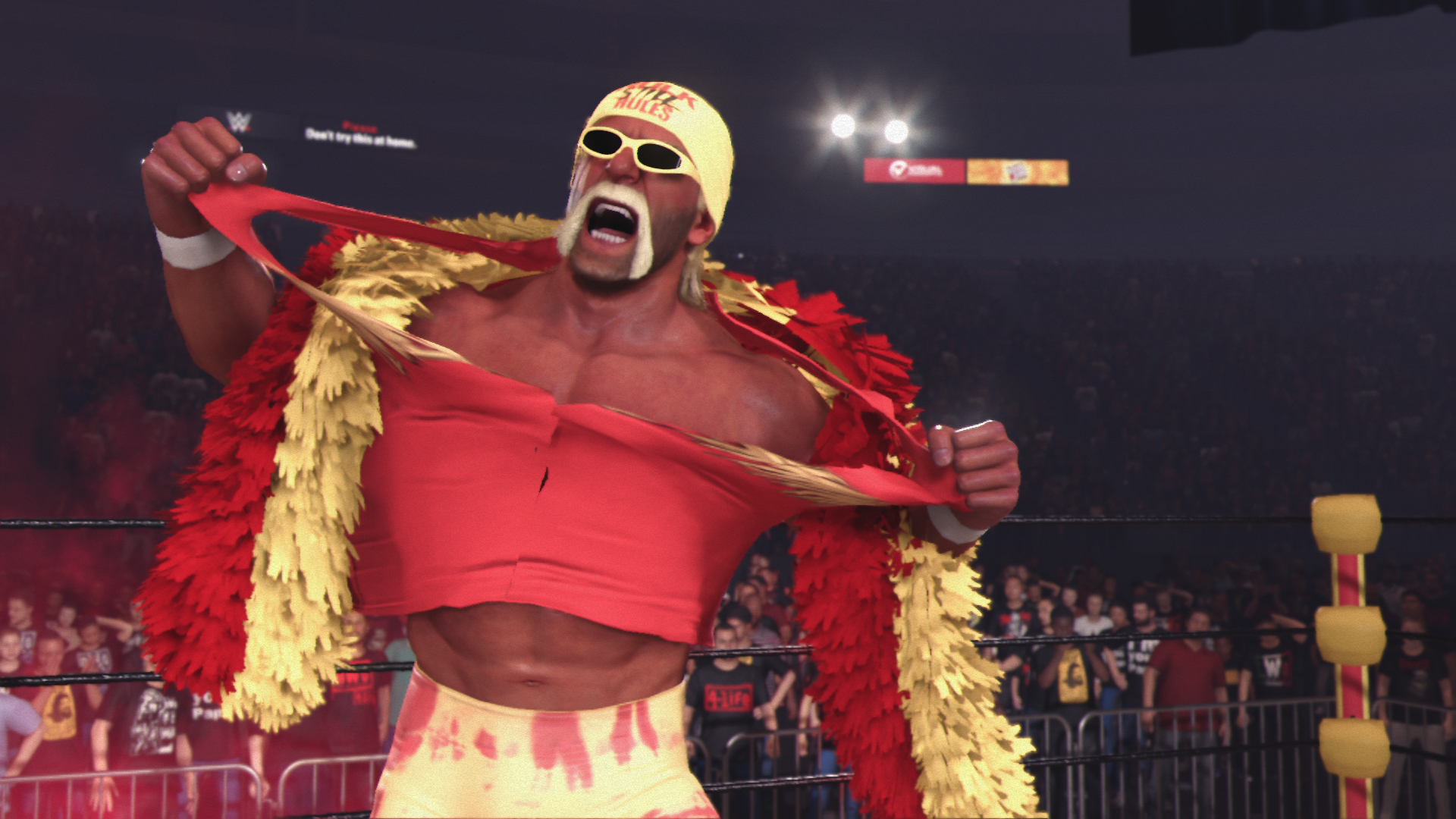 Галерея игры WWE 2K24