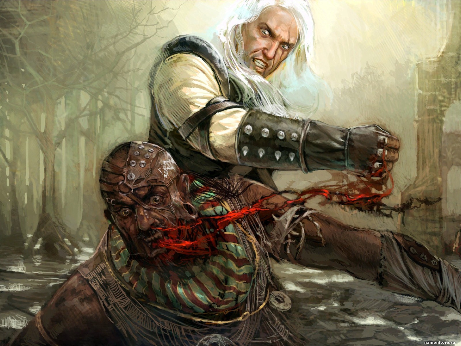 Галерея игры The Witcher