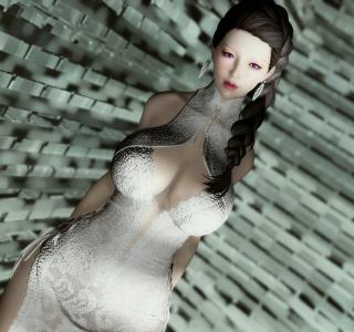The Elder Scrolls 5: Skyrim