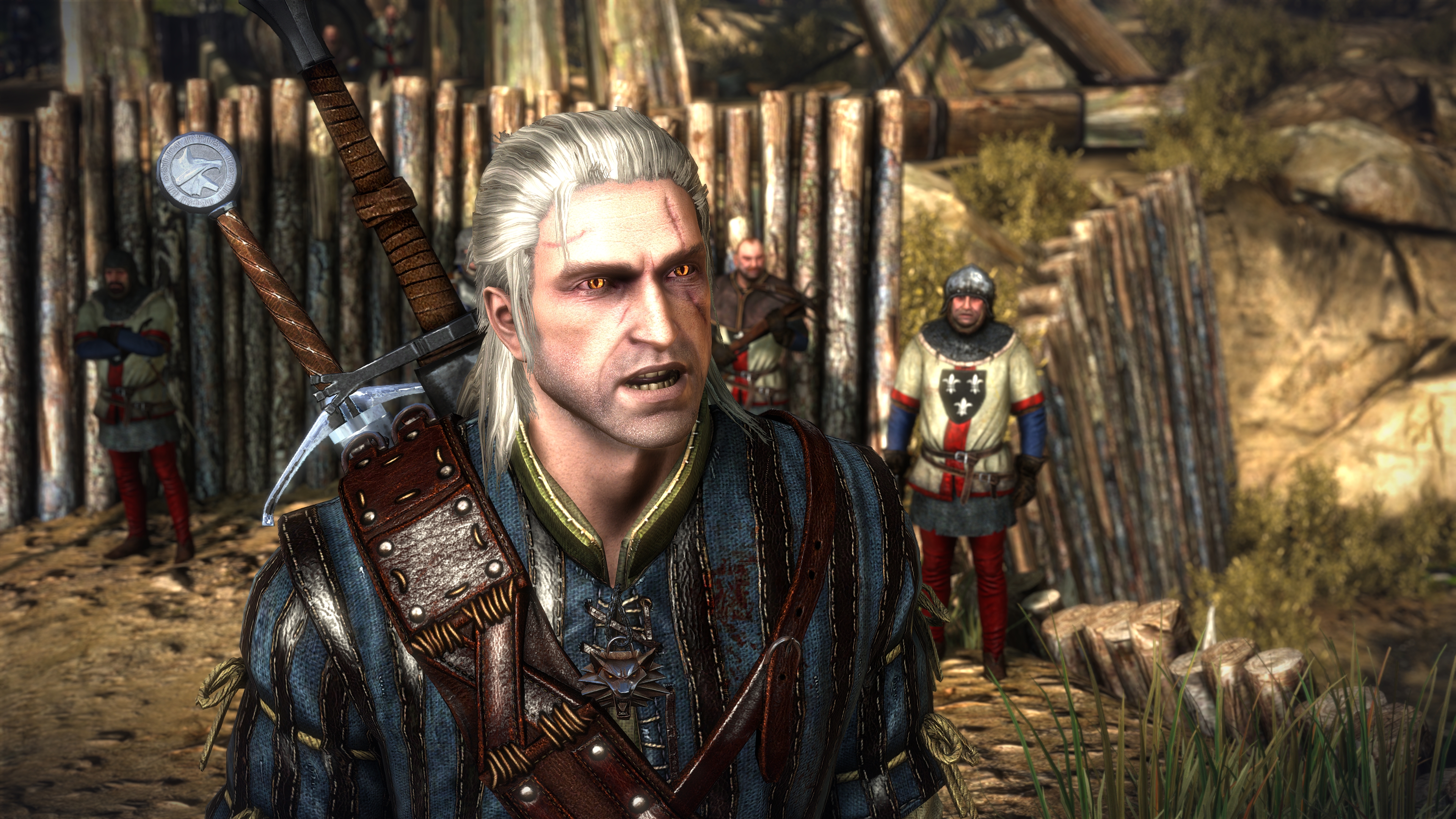 Галерея игры The Witcher 2: Assassins of Kings