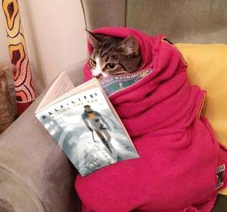 Галерея игры Half-Life 2