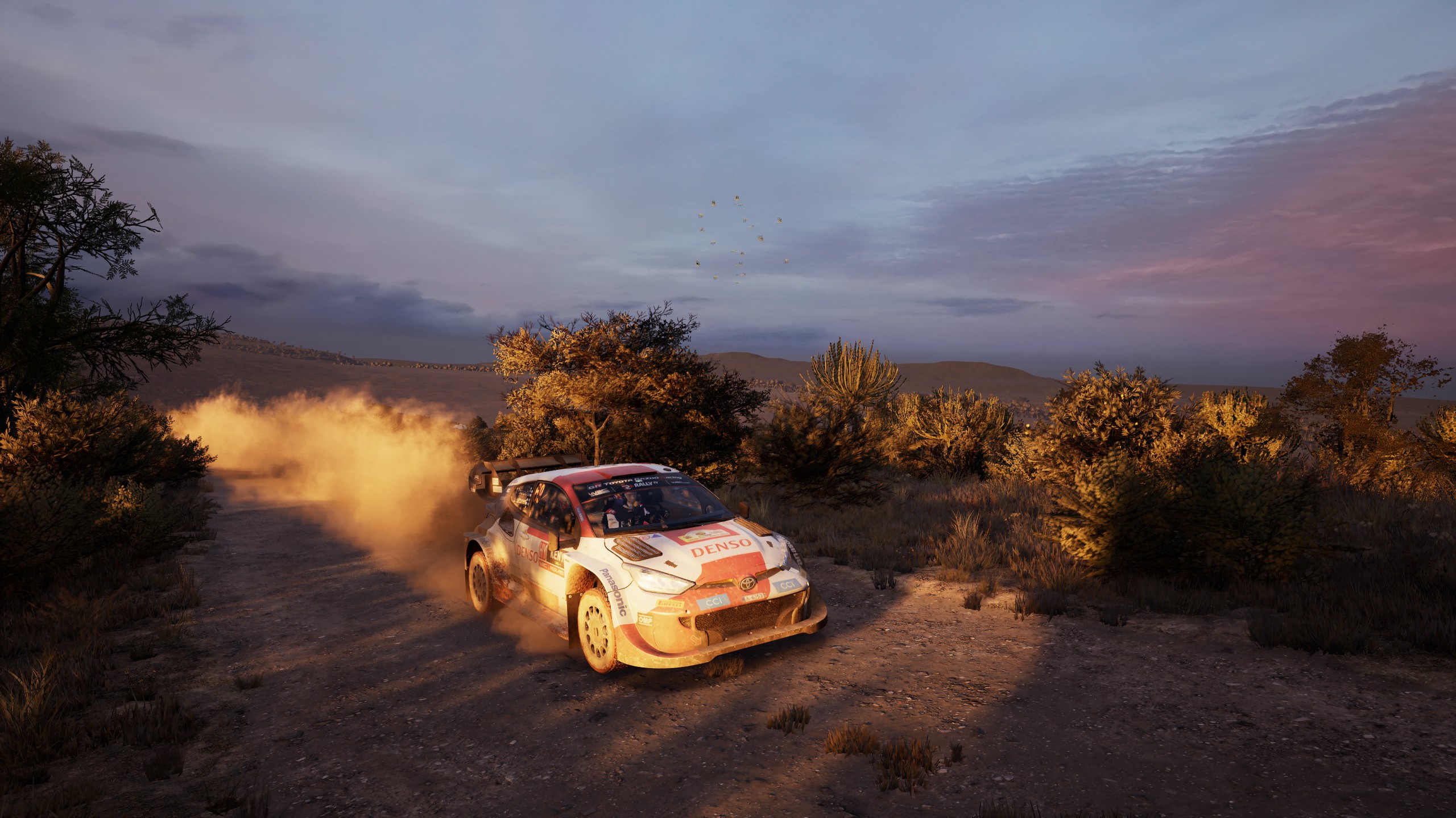 EA Sports WRC