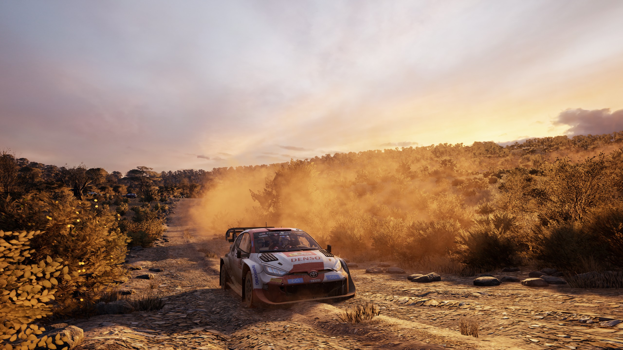 EA Sports WRC