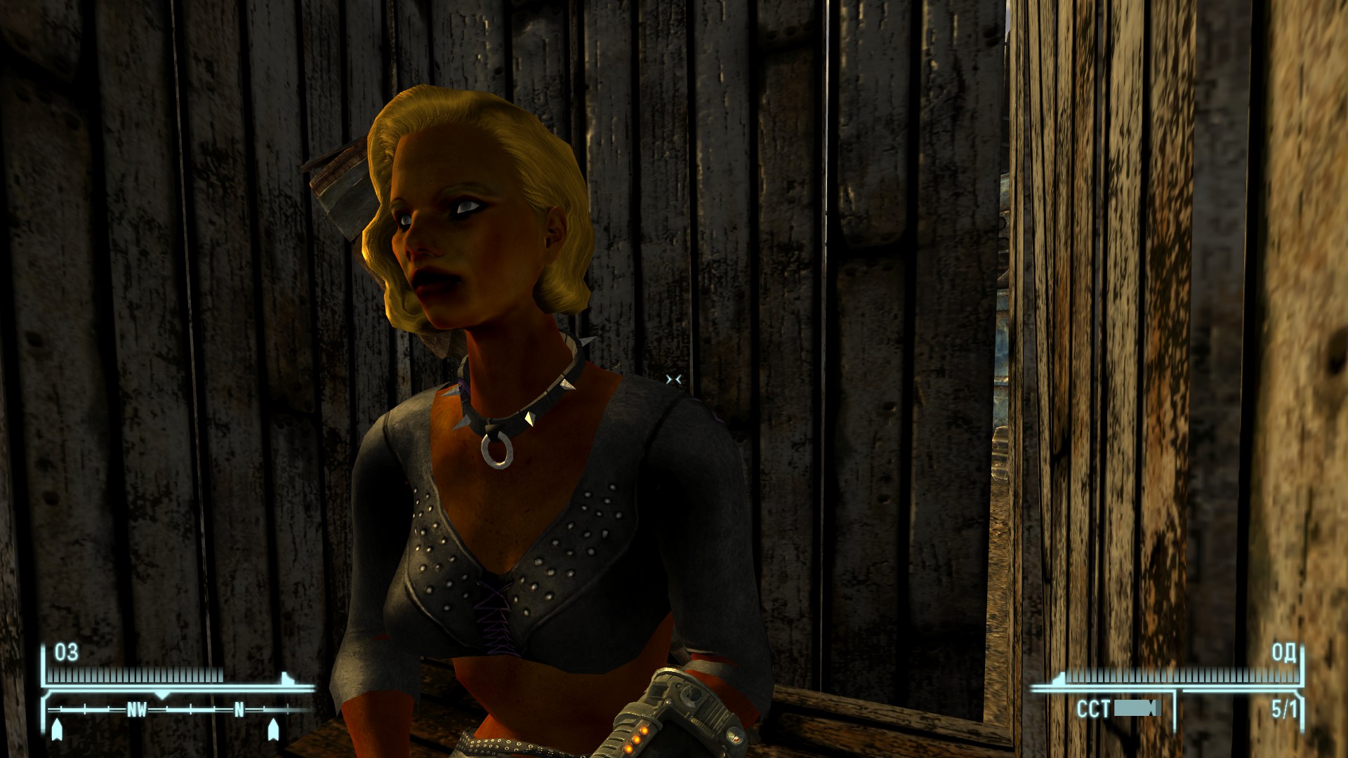 Галерея игры Fallout: New Vegas