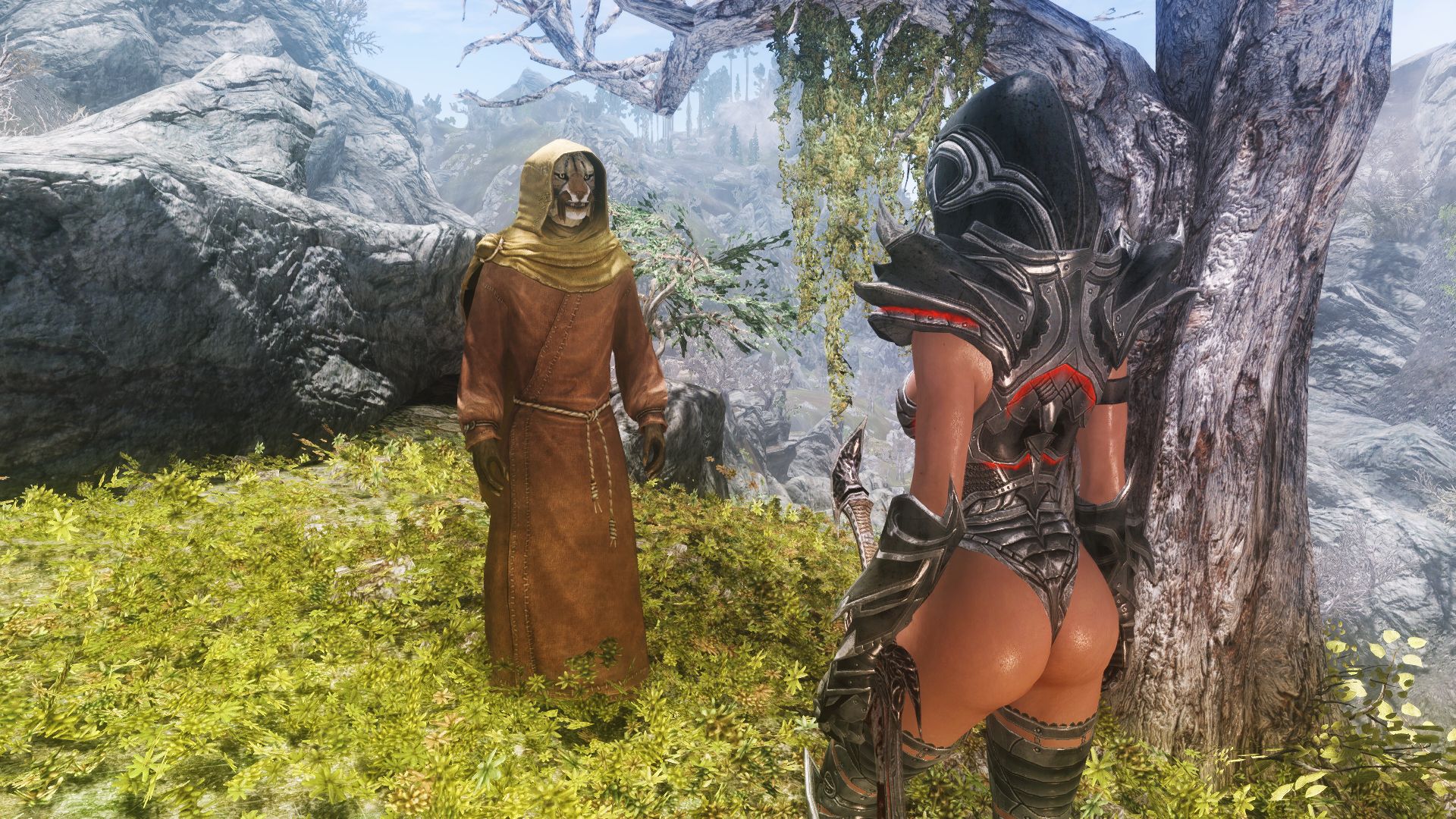 The Elder Scrolls 5: Skyrim