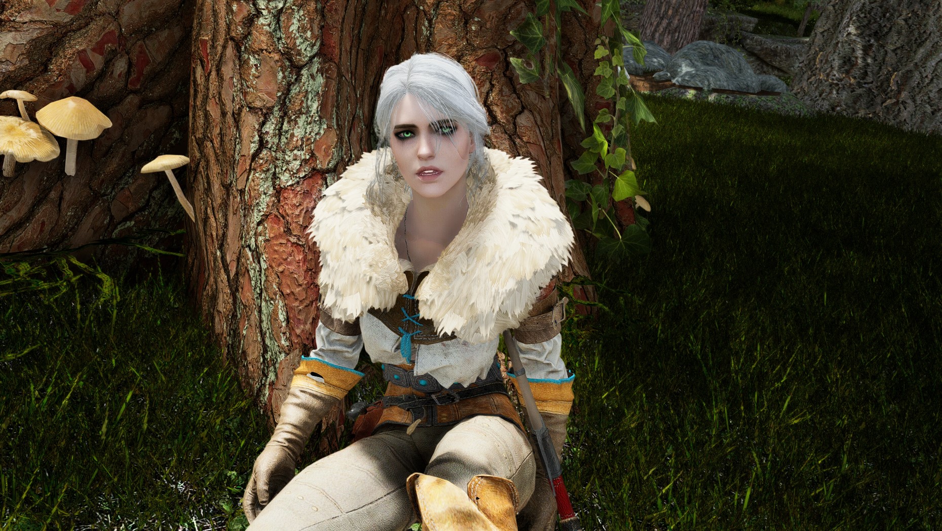 Галерея игры The Elder Scrolls 5: Skyrim