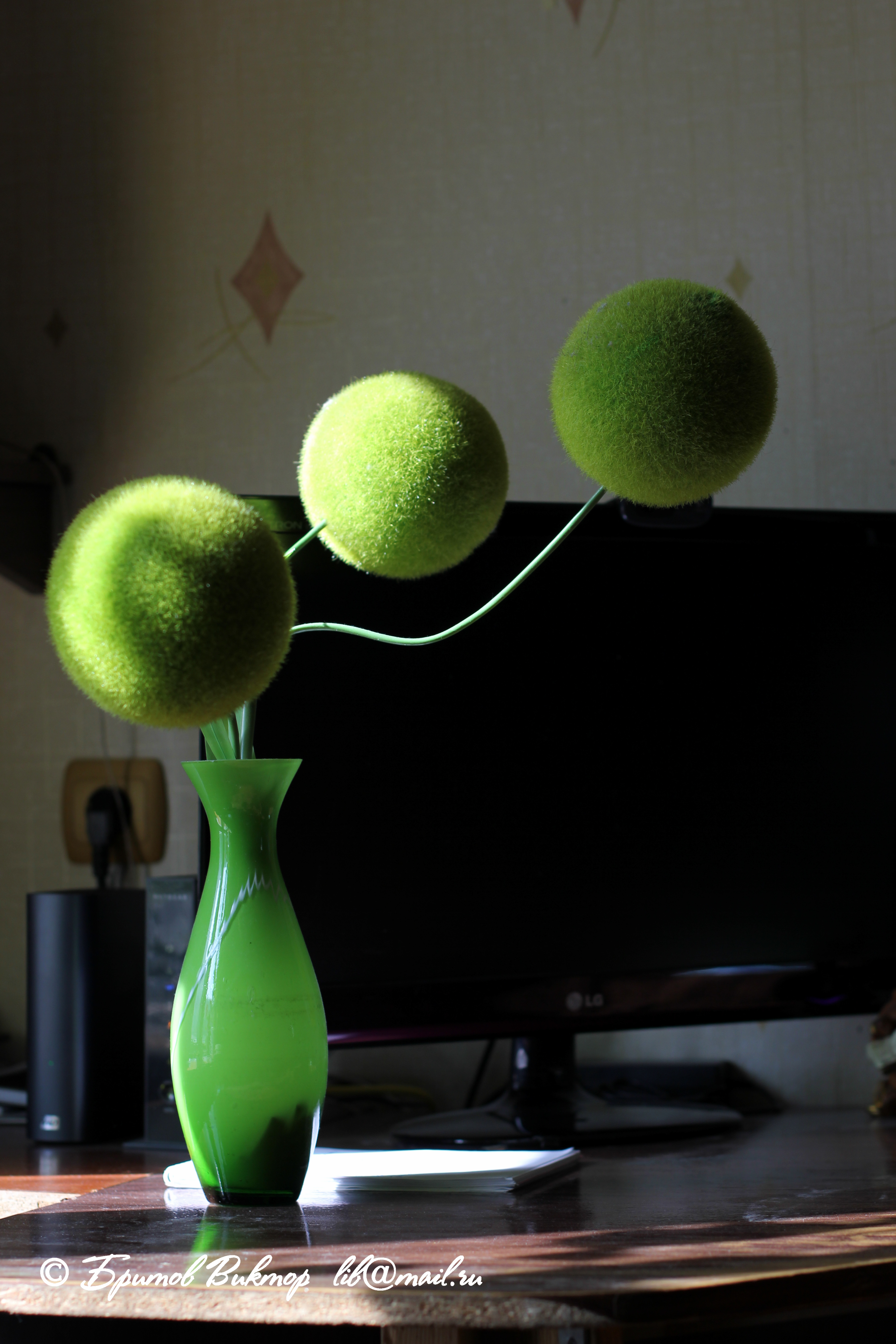 [Без названия]