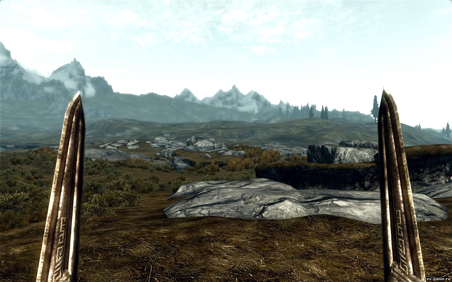 [Без названия]