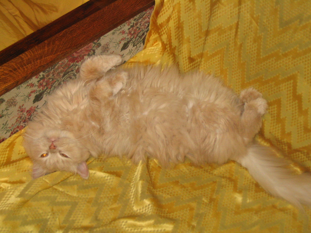 [Без названия]