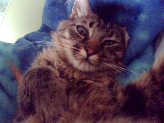 [Без названия]