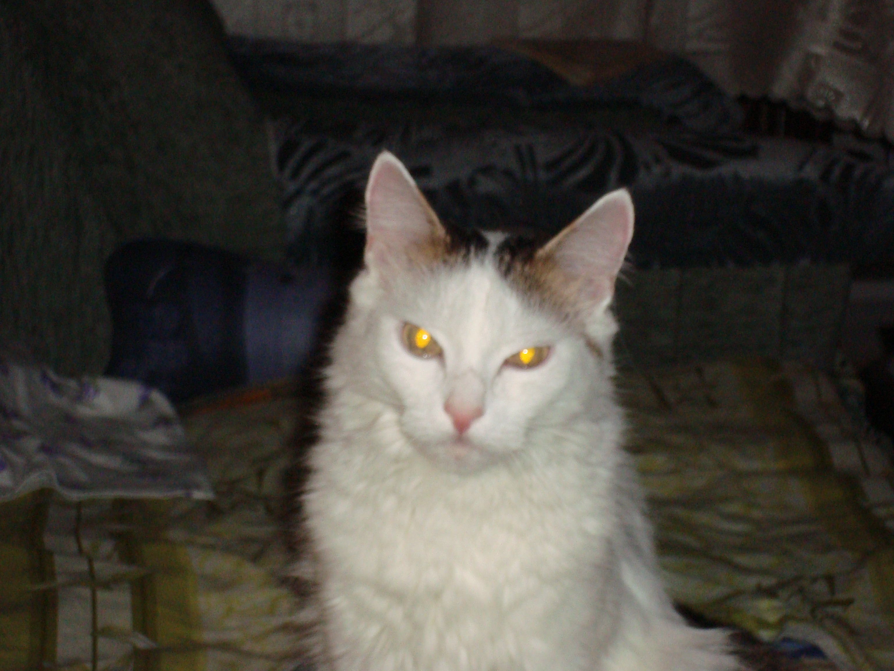 [Без названия]